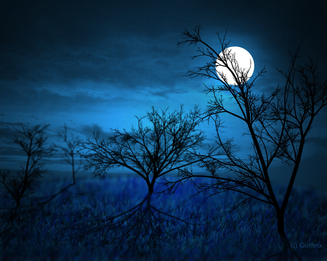 http://thecitysstillbreathing.files.wordpress.com/2012/09/full_moon_____midnight_forest_by_gothrix.jpg